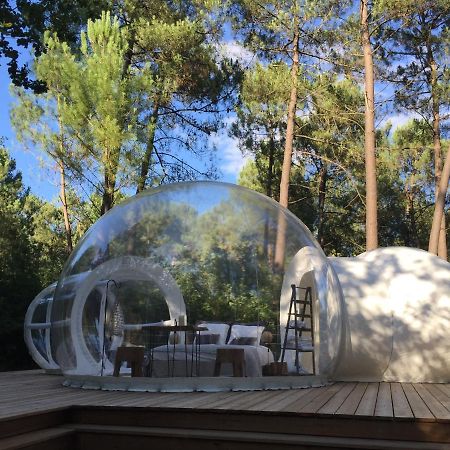 Bed and Breakfast Les Bulles De Bordeaux à Salleboeuf Extérieur photo