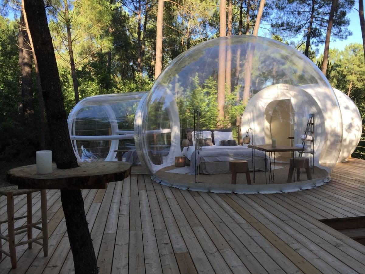 Bed and Breakfast Les Bulles De Bordeaux à Salleboeuf Extérieur photo