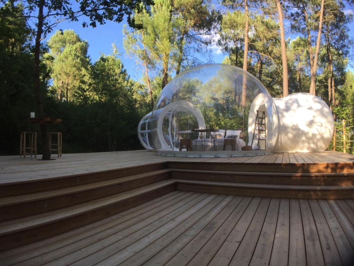 Bed and Breakfast Les Bulles De Bordeaux à Salleboeuf Extérieur photo