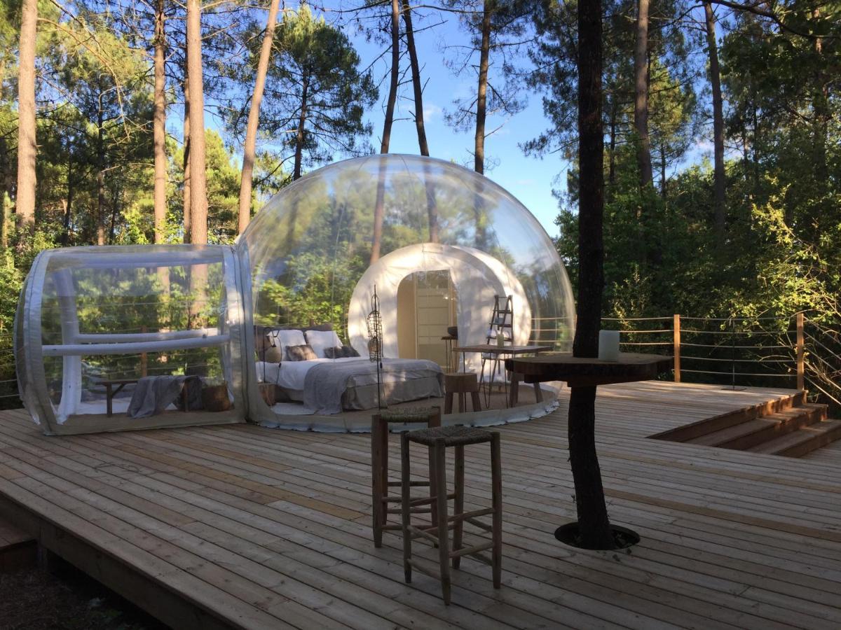 Bed and Breakfast Les Bulles De Bordeaux à Salleboeuf Extérieur photo