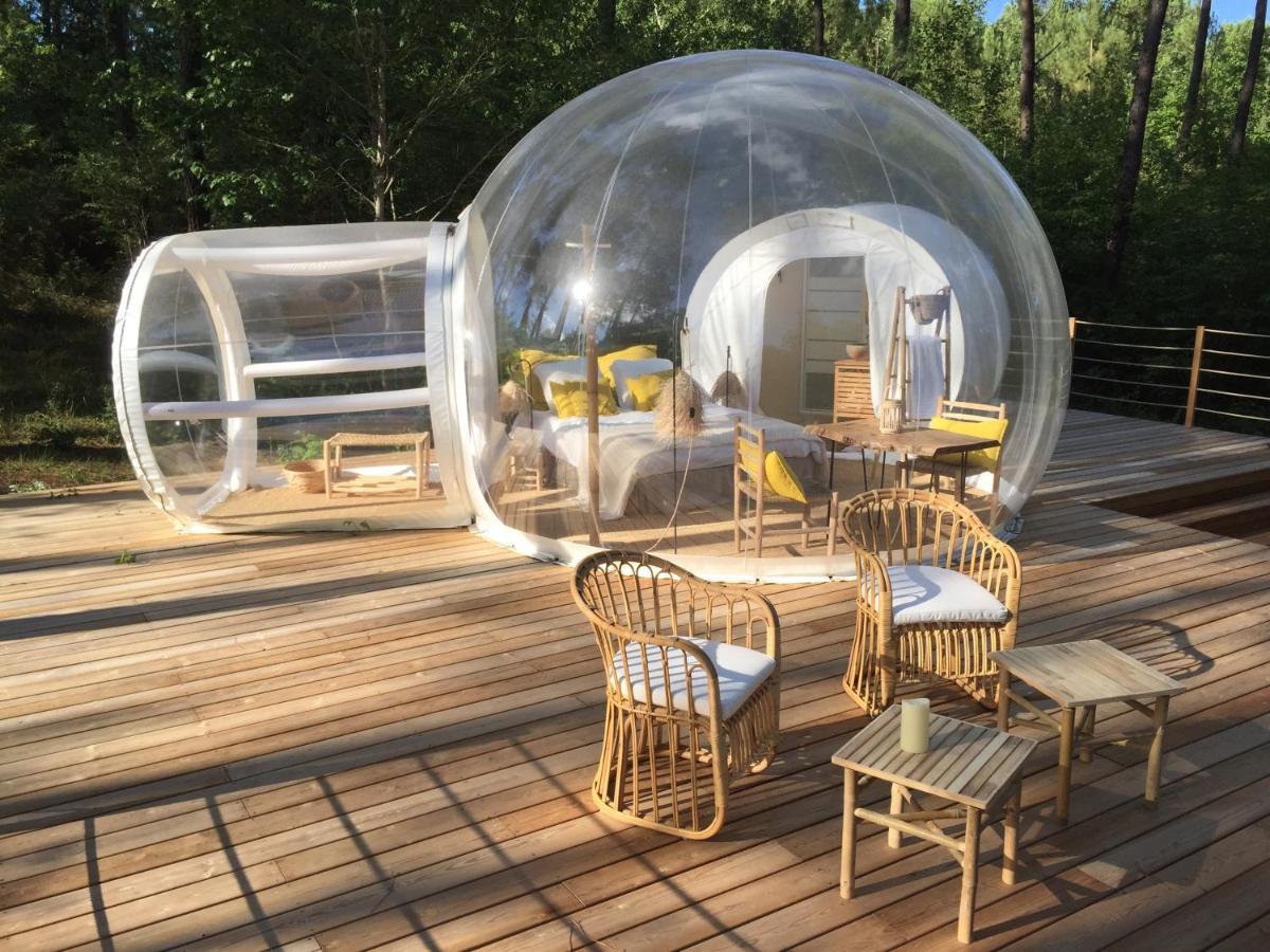 Bed and Breakfast Les Bulles De Bordeaux à Salleboeuf Extérieur photo